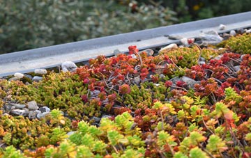 the cost of Barland green roof installation
